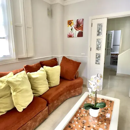 Lovely Magnolia With Pool, Bbq And Wifi In Tenerife South
